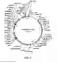 Fig. 03 - Compositions and methods for insecticidal control of stinkbugs