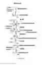 Fig. 02 - Isobutanol production using yeasts with modified transporter expression