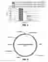 Fig. 09 - PROCESS FOR PRODUCING HIGH GLUCOSE COMPOSITIONS BY SIMULTANEOUS LIQUEFACTION AND SACCHARIFICATION OF STARCH SUBSTRATES