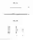 Fig. 03 - Method for genetic detection using interspersed genetic elements: a multiplexed DNA analysis system