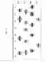 Fig. 05 - Method for genetic detection using interspersed genetic elements: a multiplexed DNA analysis system