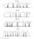 Fig. 08 - Method for genetic detection using interspersed genetic elements: a multiplexed DNA analysis system