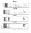 Fig. 16 - Method for genetic detection using interspersed genetic elements: a multiplexed DNA analysis system