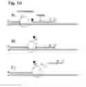Fig. 09 - MULTIPLEXED DIGITAL ASSAYS WITH COMBINATORIAL USE OF SIGNALS