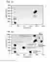 Fig. 11 - MULTIPLEXED DIGITAL ASSAYS WITH COMBINATORIAL USE OF SIGNALS