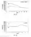 Fig. 03 - PRIMERS AND METHODS FOR THE DETECTION AND DISCRIMINATION OF NUCLEIC ACIDS
