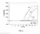 Fig. 09 - PRIMERS AND METHODS FOR THE DETECTION AND DISCRIMINATION OF NUCLEIC ACIDS