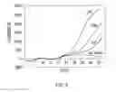 Fig. 11 - PRIMERS AND METHODS FOR THE DETECTION AND DISCRIMINATION OF NUCLEIC ACIDS