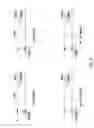 Fig. 12 - PRIMERS AND METHODS FOR THE DETECTION AND DISCRIMINATION OF NUCLEIC ACIDS