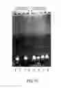 Fig. 13 - PRIMERS AND METHODS FOR THE DETECTION AND DISCRIMINATION OF NUCLEIC ACIDS