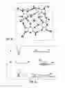 Fig. 06 - Isothermal Amplification of Nucleic Acid, and Library Preparation and Clone Generation in Sequencing