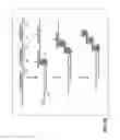 Fig. 13 - Isothermal Amplification of Nucleic Acid, and Library Preparation and Clone Generation in Sequencing