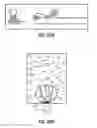 Fig. 20 - Isothermal Amplification of Nucleic Acid, and Library Preparation and Clone Generation in Sequencing