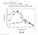 Fig. 43 - Isothermal Amplification of Nucleic Acid, and Library Preparation and Clone Generation in Sequencing