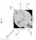 Fig. 20 - CHAMBER FREE NANOREACTOR SYSTEM