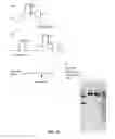 Fig. 15 - Compositions and methods of nucleic acid-targeting nucleic acids
