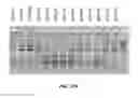 Fig. 55 - Compositions and methods of nucleic acid-targeting nucleic acids