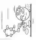 Fig. 03 - Traceability of Cellular Cycle Anomalies Targeting Oncology and Neurodegeneration