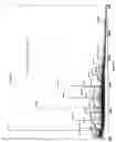Fig. 05 - Traceability of Cellular Cycle Anomalies Targeting Oncology and Neurodegeneration