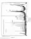 Fig. 11 - Traceability of Cellular Cycle Anomalies Targeting Oncology and Neurodegeneration
