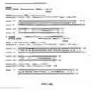 Fig. 47 - Traceability of Cellular Cycle Anomalies Targeting Oncology and Neurodegeneration