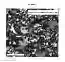 Fig. 03 - Nanostructured Titanium Alloy and Method For Thermomechanically Processing The Same