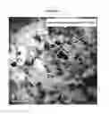 Fig. 10 - Nanostructured Titanium Alloy and Method For Thermomechanically Processing The Same