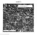 Fig. 13 - Nanostructured Titanium Alloy and Method For Thermomechanically Processing The Same