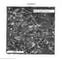 Fig. 18 - Nanostructured Titanium Alloy and Method For Thermomechanically Processing The Same