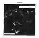 Fig. 19 - Nanostructured Titanium Alloy and Method For Thermomechanically Processing The Same