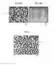 Fig. 02 - Ni-based heat-resistant superalloy and method for producing the same
