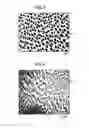 Fig. 03 - Ni-based heat-resistant superalloy and method for producing the same