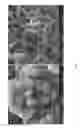 Fig. 06 - Cellulose nanocrystal (CNC) films and conductive CNC-based polymer films produced using electrochemical techniques