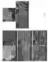 Fig. 08 - Cellulose nanocrystal (CNC) films and conductive CNC-based polymer films produced using electrochemical techniques
