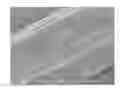 Fig. 01 - Multi-Functional Fabric
