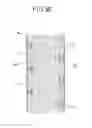 Fig. 05 - Door Leaf Device for Mass Transportation Vehicles and Method for the Production of Such a Door