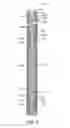 Fig. 04 - Casing window assembly