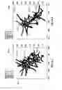 Fig. 17 - Method of calibrating fracture geometry to microseismic events