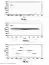 Fig. 34 - Method of calibrating fracture geometry to microseismic events