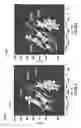 Fig. 42 - Method of calibrating fracture geometry to microseismic events