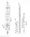Fig. 30 - System and method for dual telemetry acoustic noise reduction