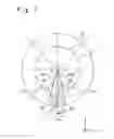 Fig. 09 - Thrust vectoring apparatus, thrust vectoring method, and flying body