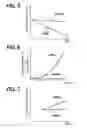 Fig. 04 - Evaporation fuel purge system