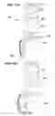 Fig. 22 - Vertical air intake system; air cleaner; and filter element