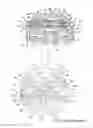 Fig. 10 - Eccentric roundel structure for four-booster chamber diaphragm pump