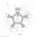 Fig. 02 - Rotor for a cam phaser with improved properties