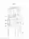 Fig. 09 - Multi-stage centrifugal pump