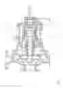 Fig. 05 - Pump arrangement for driving an impeller using an inner rotor which interacts with an outer rotor and the outer rotor having a radially outer circumferential projection