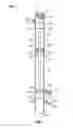 Fig. 02 - Propellant driven accumulator