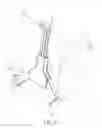 Fig. 09 - Support rack